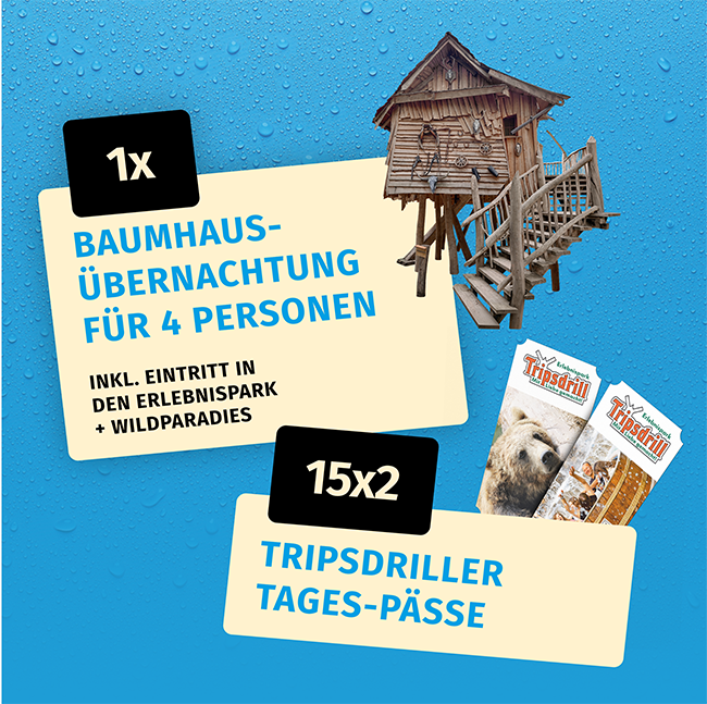 Freibier Gewinnspiel